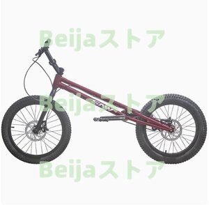 24インチ スタント用自転車 BMX 自転車 大人用 フロントおよびリアブレーキ付き Crmoフレームとフォーク パープル