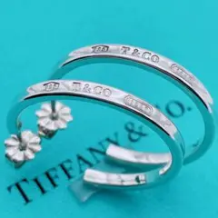 Tiffany & Co. ナロー　フープ　ピアス　Mサイズ　リング　シルバー