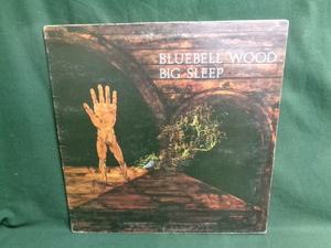 BIG SLEEP/BLUEBELL WOOD●LP