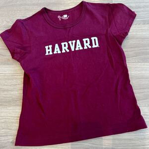 HARVARD ハーバード大学公式ロゴTシャツ　サイズS 未使用品