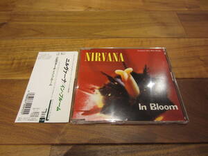 Nirvana/In Bloom 国内盤帯付CD オルタナ グランジ ギターポップ Foo Fighters Skid Row Sweet 75