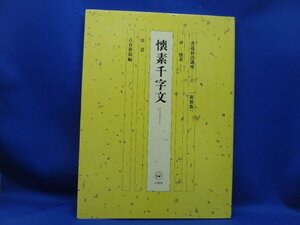 書道技法講座 27 懐素千字文 新装版] 二玄社 中国書道　下敷き付属　60406