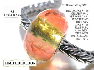 トロールビーズ★Trollbeads★Layers of Curiosity & Energy★Trollbeads Day2023★刻印有★新品★リミテッドエディション★入手不可★