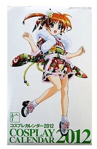 未使用品 コスプレカレンダー2012年 月刊 娘TYPE 2012年2月号 特別付録 美少女