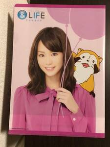 ★未使用 桐谷美玲 ラスカル 三井住友海上あいおい生命 クリアファイル 非売品 ノベルティ