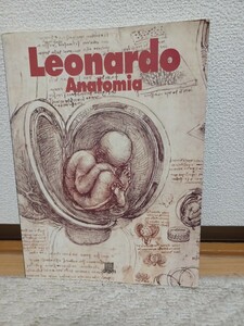 レオナルドダ・ヴィンチ 本 解剖図 イタリア語版 伊: Leonardo da Vinci、