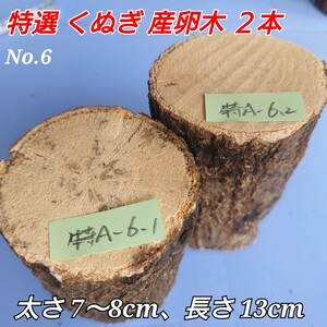 【送料無料】 産卵木 くぬぎ ２本 ●特Ａ No.6 ●硬さふつう ■オオクワガタに最適!! ほだ木 ホダ木 廃ほだ 朽ち木 朽木 とまり木 止まり木