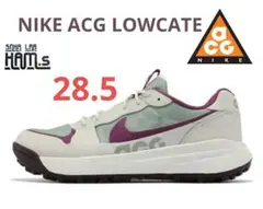 新品　ナイキ ACG ローケート NIKE ACG LOWCATE　28.5