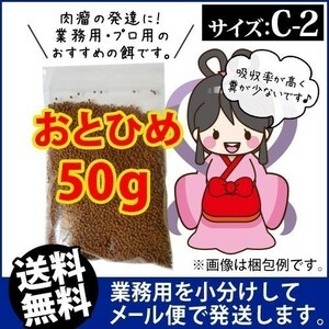 051-03-005 ★追跡なし★ お試し 日清丸紅飼料おとひめC2（沈降性）50g ※メール便　金魚小屋-希-福岡