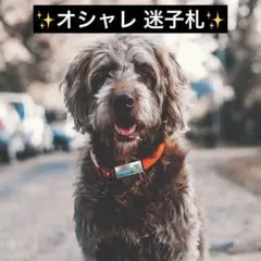 ドッグタグ 迷子札 名札 愛犬用 QR タグ ペット 犬 散歩 迷子