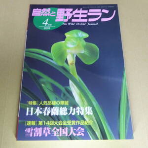 ＹＮ1-240911☆自然と野生ラン 2009年4月号　※ 日本春蘭 雪割草 富貴蘭 ※ 園芸JAPAN