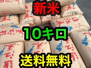 残りわずか○送料無料●令和6年産●コシヒカリ　　近江米10㎏●滋賀県●減農薬○ ●