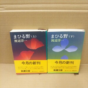 まひる野 上下巻 渡辺淳一 新潮文庫 初版帯付き