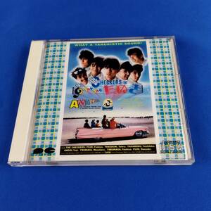 1SC9 CD チェッカーズ CHECKERS in TAN TANたぬき