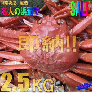 5箱、名人の浜茹で蟹2.5kg/境港産【即納!】 -6尾で2.5kg位-.「冷紅蟹A2.5kg」