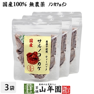 健康茶 国産100% サルノコシカケ茶 ティーパック 1.5g×20パック×3袋セット 宮崎県産 鹿児島県産 無農薬 ノンカフェイン 送料無料