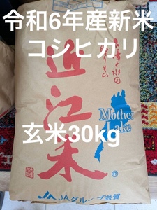 近江米 送料込み 30kg玄米 令和6年産 新米 滋賀県高島市産 コシヒカリ