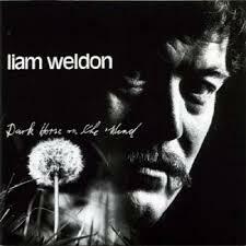 ★アイルランドのトラッド大御所親父!!孤高のシンギング!!傑作!!Liam Weldon リアム・ウェルダンのCD【DARK HORSE ON THE WIND】1976年。