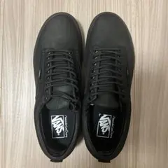 VANS Alexander Lee Chang アレキサンダーリーチャン 別注