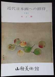 図録・山種美術館「近代日本画への招待（3）光と隈」