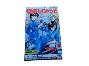 新品未組立品 ハセガワ 1/12 逮捕しちゃうぞ 小早川美幸 レンジ製フィギュア （警察製服）