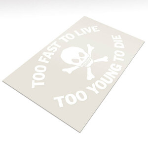 ■再入荷！屋外対応！■ SEDITIONARIESなパンクロック ステッカー[ TOO FAST TO LIVE TOO YOUNG TO DIE ] ホワイト