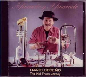 [SALSA] DAVID CEDENO / A FINANDO Y A FINCANDO