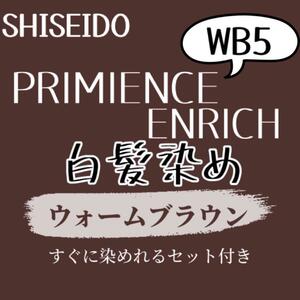 最安値 資生堂 WB5 白髪染め ロングヘア用 ヘアカラー剤 セット付 ヘアカラー ウォーム ブラウン 少し暖色みのある艶が出るブラウン