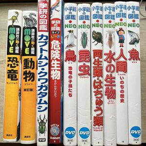 【図鑑】《まとめて10点セット》小学館の図鑑NEO/講談社の動く図鑑MOVE/学研の図鑑/恐竜/動物/昆虫 他