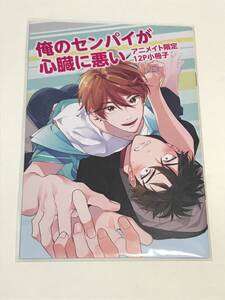 同梱可！ 百瀬あん 『 俺のセンパイが心臓に悪い 』アニメイト限定12P小冊子 【2402】18