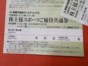 1～8枚☆東急不動産ホールディングス株主優待券・ゴルフ場スキー場☆2025年8月31日期限など♪