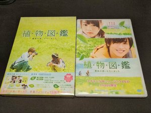 セル版 DVD 未開封 植物図鑑 運命の恋、ひろいました 豪華版 +メイキング&ミュージックDVD / 2本セット / fd479