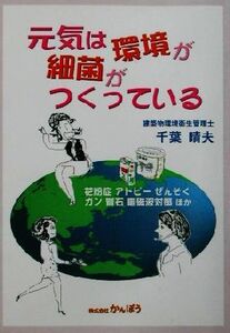 元気は環境が細菌がつくっている 花粉症、アトピー、ぜんそく、ガン、腎石、電磁波対策ほか/千葉晴夫(著者)