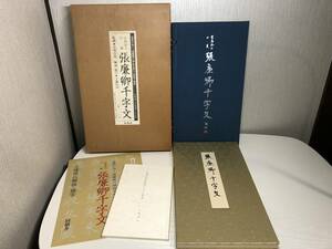 張廉卿千字文 帙入 折帖 原寸原色復刻 宮島詠士旧蔵 同朋舎 監修 宮島吉亮 解説 上条信山 中国 書道 金石 書画 石刻 法帖 法書 古書 古本