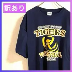 【訳あり】送料無料　10s ギルダン　バレーボール　Tシャツ　半袖　リメイク推奨