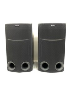 SONY スピーカー　SS-J900AV　ニュートラル　スピーカーシステム　音楽 本体のみ