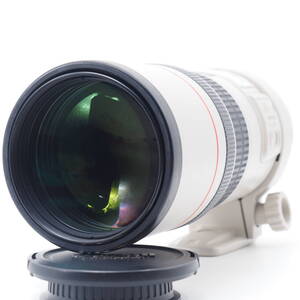 103004☆良品☆Canon 単焦点望遠レンズ EF300mm F4L IS USM フルサイズ対応