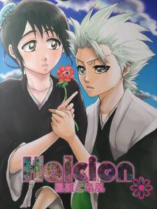 ◆BLEACH◆ブリーチ◆Halcion 鳳雛と竜凰◆愛見◆日番谷×雛森◆日雛◆