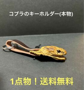 コブラのキーホルダー 本物のコブラ 激レア