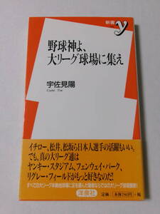 宇佐見陽『野球神よ、大リーグ球場に集え』(新書y)