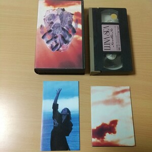 ルナシー　VHSビデオ　Sin After Sin　LUNA SEA　再生確認済み　セル品