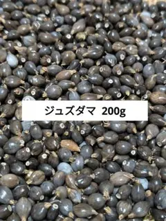 ジュズダマ　200g