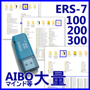 ★お宝！AIBOウェア等★USBメモリ★大量★