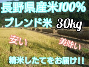 【白米】長野県産ブレンド米30キロ（10㎏×3袋）精米したてをお届け致します!! 