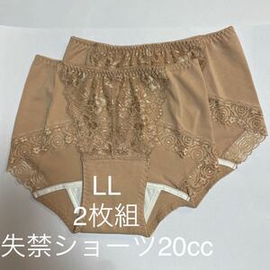 2枚組 LL 尿漏れパンツ 20cc 失禁ショーツ 軽失禁 ピンク　テイジン レース 安心ショーツ 女性用 失禁パンツ レディース 婦人