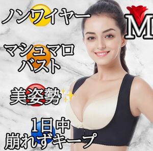 【M】大人気 補正下着 マシュマロバスト 谷間 美姿勢 プリンセスアーチ ナイトブラ