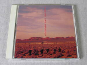 中古CD ザ・スクェア　イエス、ノー。　THE SQUARE YES,NO.