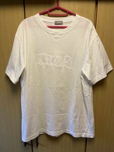 正規 21SS DIOR × PETER DOIG ディオール ピータードイグ KIM JONES キムジョーンズ ロゴ 刺繍 Tシャツ 白 L 143J685C0677