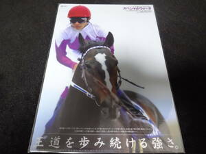 JRA ヒーロー列伝No.46 スペシャルウィーク クリアファイル 新品未開封 2015年来場ポイント