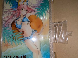 ワダアルコ展 Fate & EXTRA ART WORKS 玉藻の前 水着 東京会場限定 アクリルボード FGOフェス 2024 Expo Fes.9th Fate タマモサマー